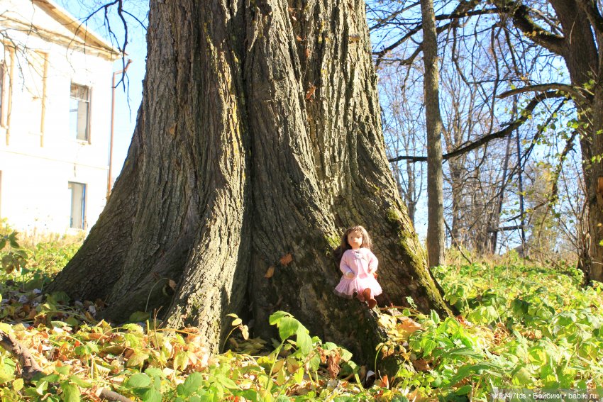 Золотая Осень в Грузинах | Бэйбики Золотая Осень в Грузинах — Куклы Sylvia Natterer (Сильвия Наттерер): Gotz