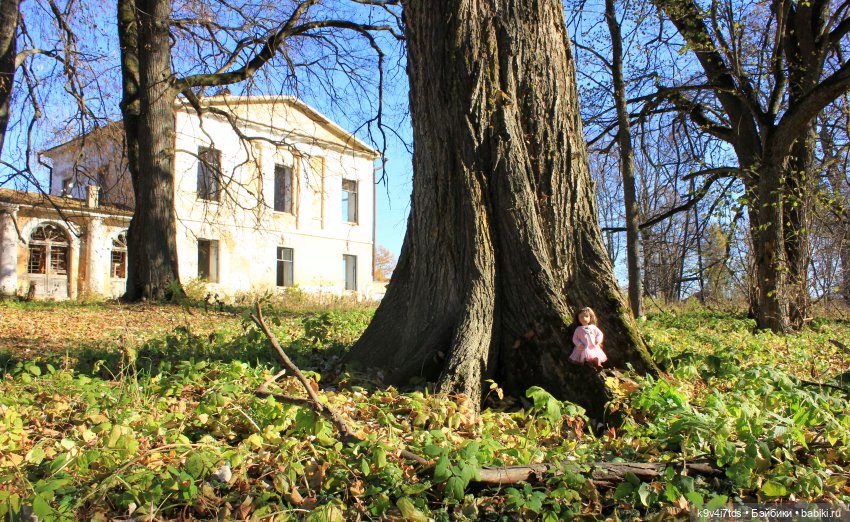 Золотая Осень в Грузинах | Бэйбики Золотая Осень в Грузинах — Куклы Sylvia Natterer (Сильвия Наттерер): Gotz