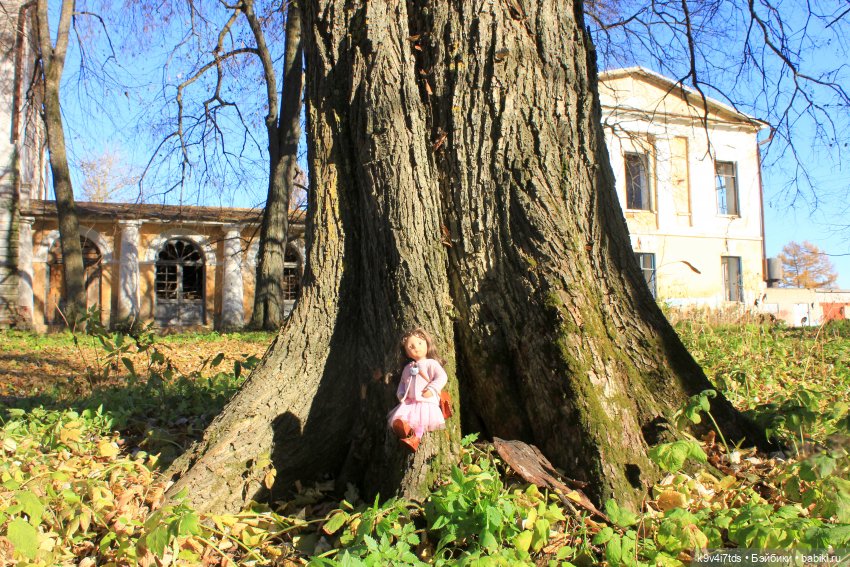Золотая Осень в Грузинах | Бэйбики Золотая Осень в Грузинах — Куклы Sylvia Natterer (Сильвия Наттерер): Gotz
