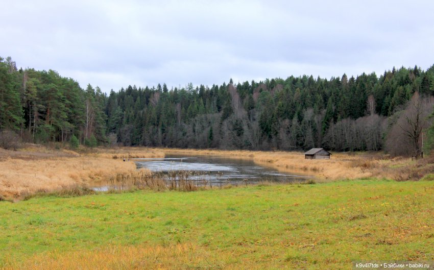 День Седьмого ноября в Усадьбе "Василёво" (фото 5)