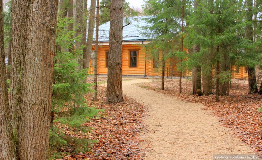 День Седьмого ноября в Усадьбе "Василёво"