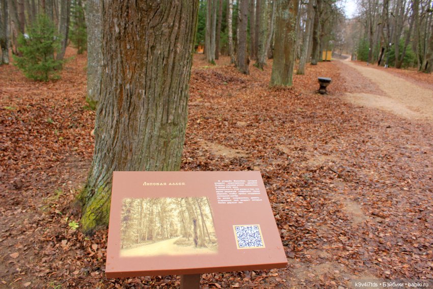 День Седьмого ноября в Усадьбе "Василёво"
