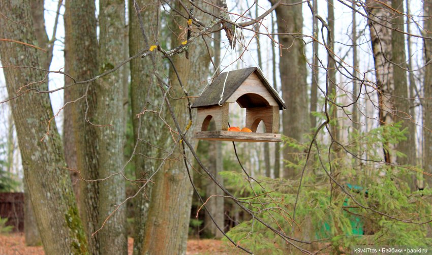 День Седьмого ноября в Усадьбе "Василёво"