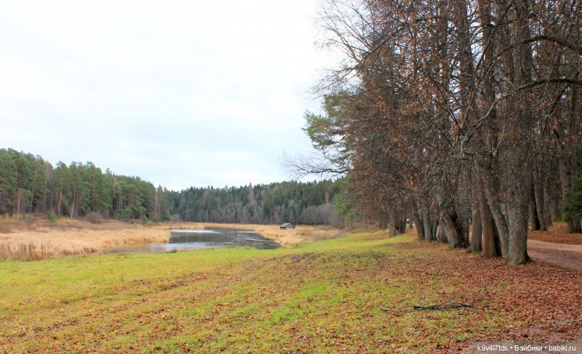 День Седьмого ноября в Усадьбе "Василёво"