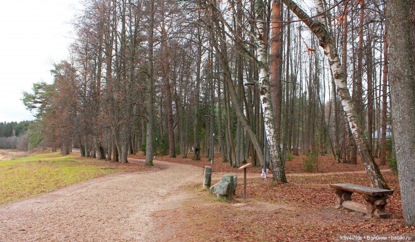 День Седьмого ноября в Усадьбе "Василёво"