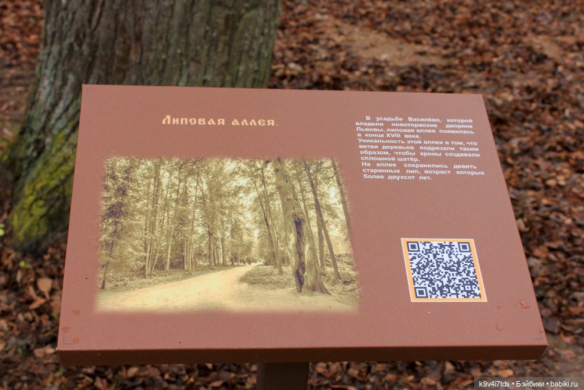 День Седьмого ноября в Усадьбе "Василёво"