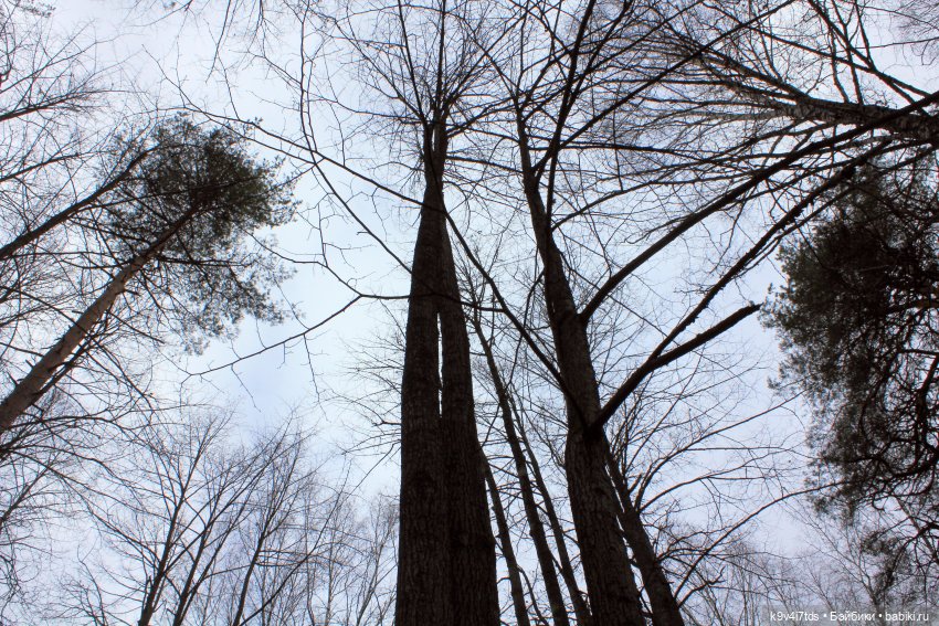 День Седьмого ноября в Усадьбе "Василёво"