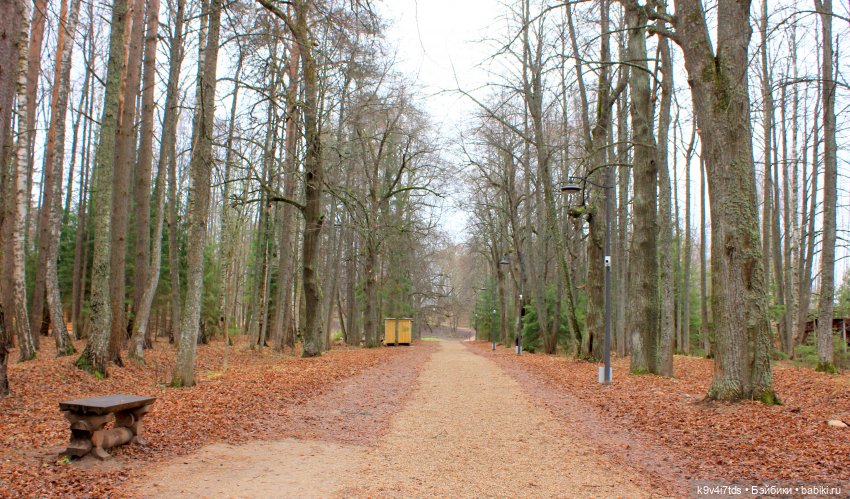 День Седьмого ноября в Усадьбе "Василёво"
