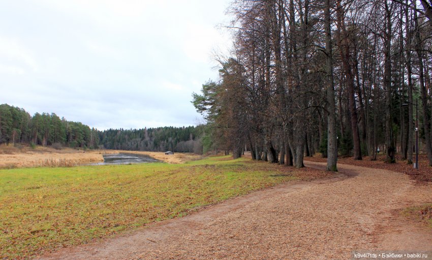 День Седьмого ноября в Усадьбе "Василёво"