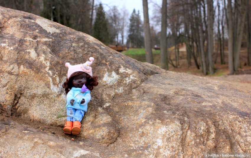 День Седьмого ноября в Усадьбе "Василёво"