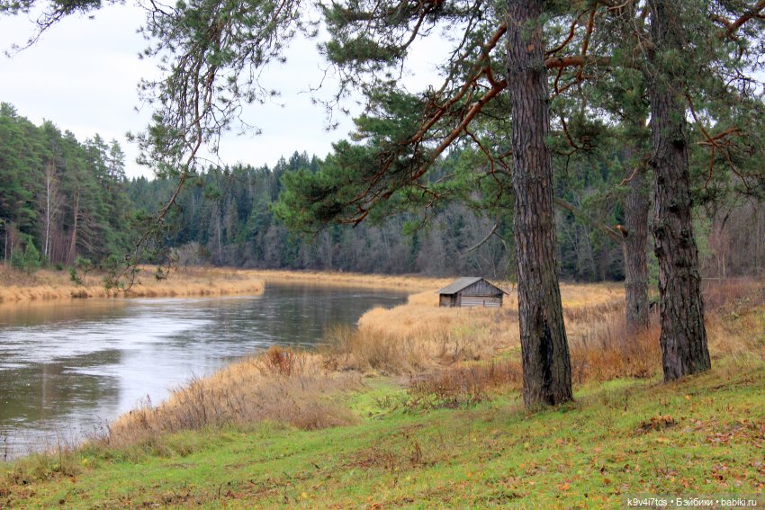 День Седьмого ноября в Усадьбе "Василёво"