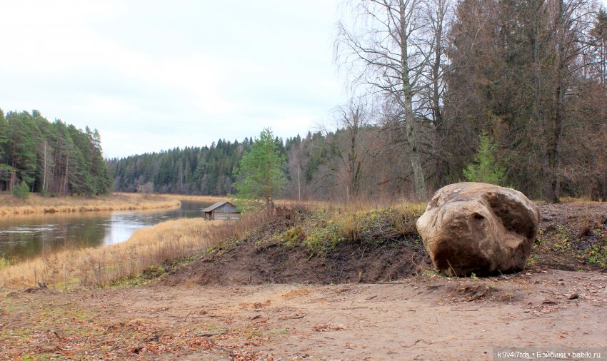 День Седьмого ноября в Усадьбе "Василёво"