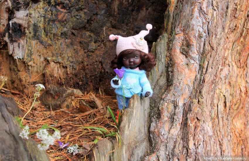 День Седьмого ноября в Усадьбе "Василёво"