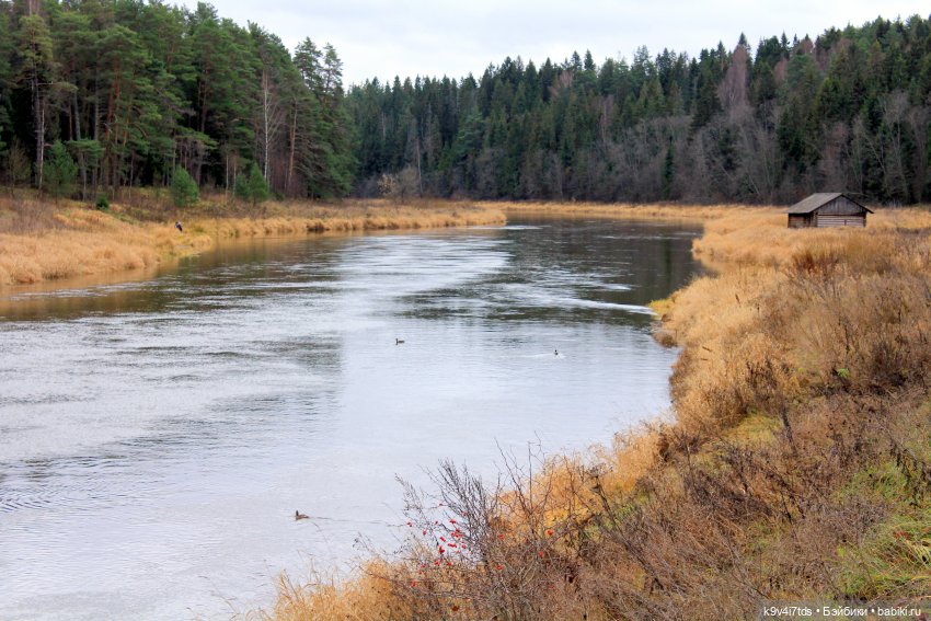 День Седьмого ноября в Усадьбе "Василёво"
