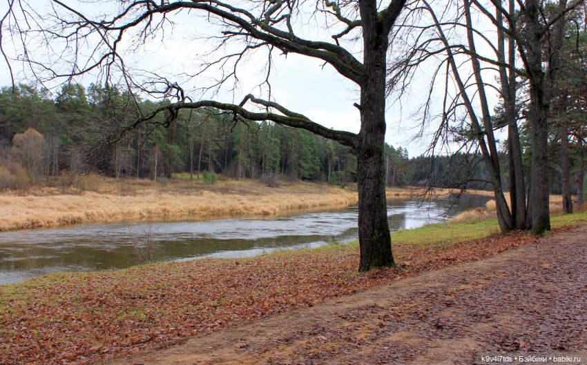 День Седьмого ноября в Усадьбе "Василёво"