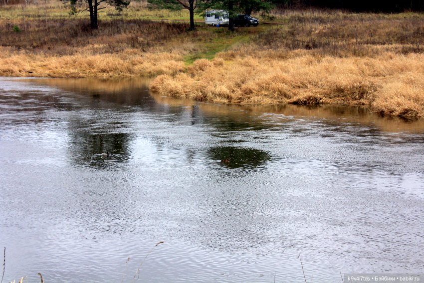 День Седьмого ноября в Усадьбе "Василёво"