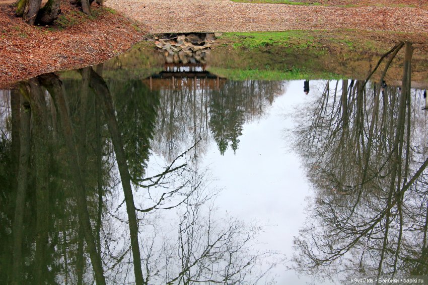 День Седьмого ноября в Усадьбе "Василёво"