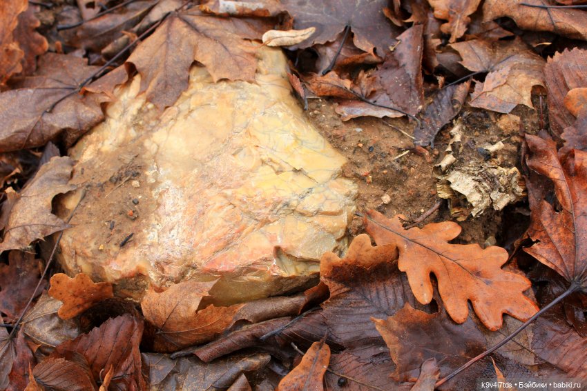 День Седьмого ноября в Усадьбе "Василёво"