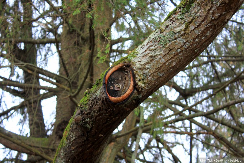День Седьмого ноября в Усадьбе "Василёво", заключительная часть (фото 5)