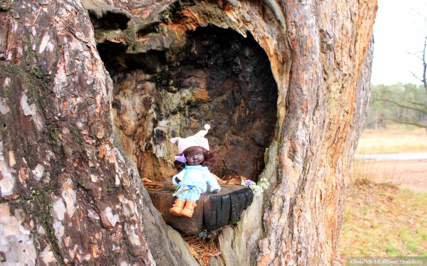 День Седьмого ноября в Усадьбе "Василёво"