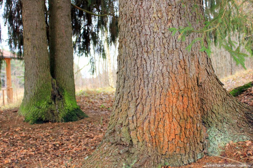 День Седьмого ноября в Усадьбе "Василёво", заключительная часть (фото 2)
