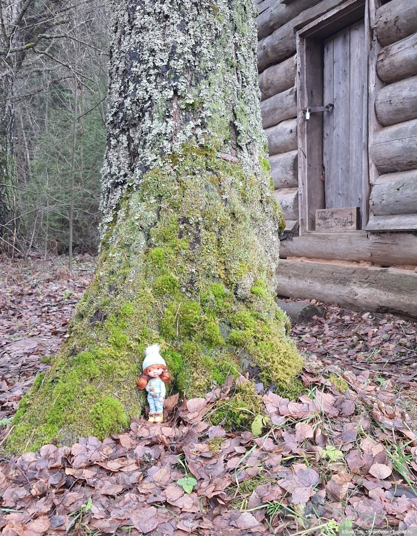 День Седьмого ноября в Усадьбе "Василёво", заключительная часть