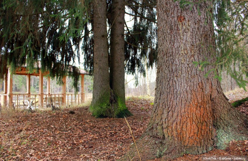 День Седьмого ноября в Усадьбе "Василёво"