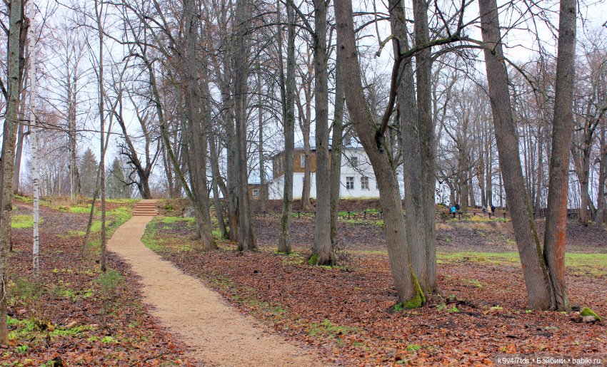 День Седьмого ноября в Усадьбе "Василёво"