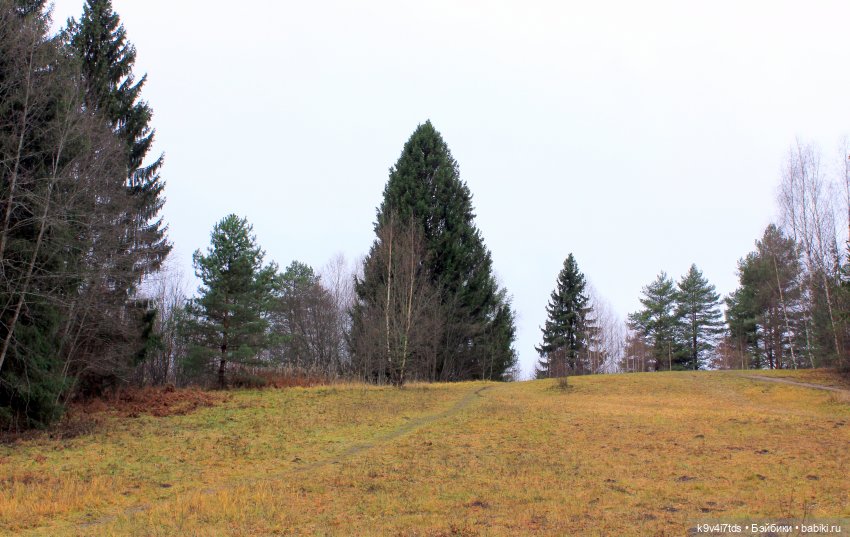 День Седьмого ноября в Усадьбе "Василёво", заключительная часть