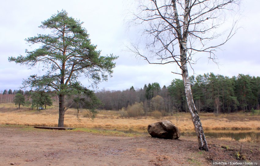 День Седьмого ноября в Усадьбе "Василёво"