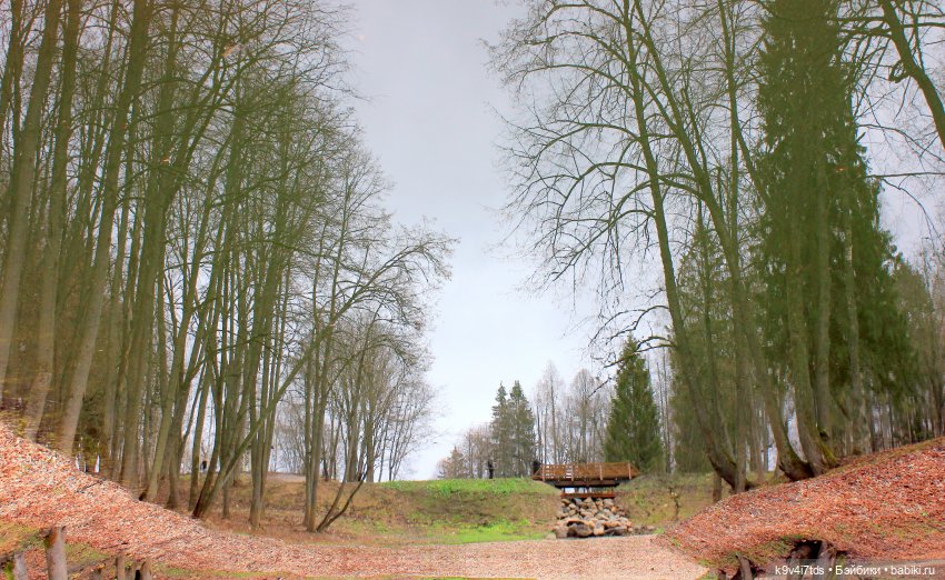 День Седьмого ноября в Усадьбе "Василёво"