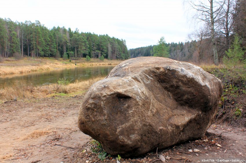 День Седьмого ноября в Усадьбе "Василёво"
