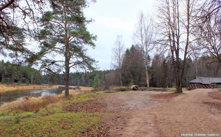 День Седьмого ноября в Усадьбе "Василёво"