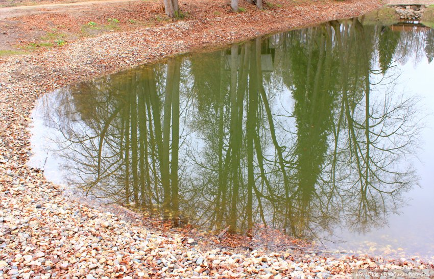 День Седьмого ноября в Усадьбе "Василёво"