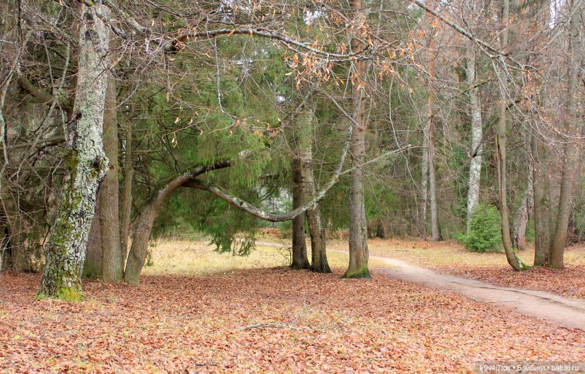 День Седьмого ноября в Усадьбе "Василёво", заключительная часть (фото 3)