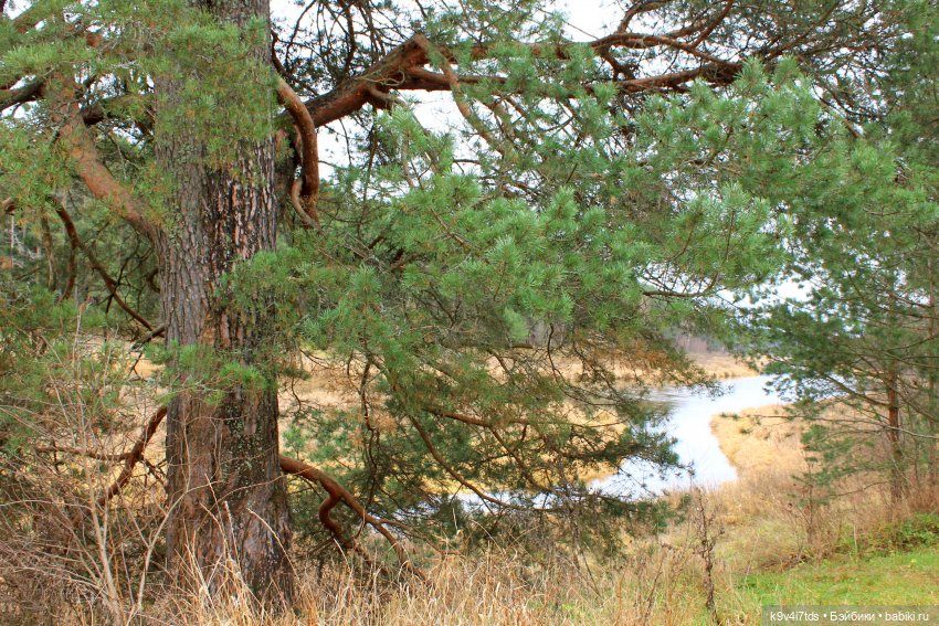 День Седьмого ноября в Усадьбе "Василёво", заключительная часть