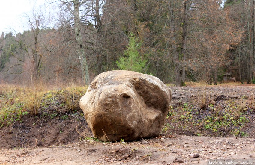День Седьмого ноября в Усадьбе "Василёво"