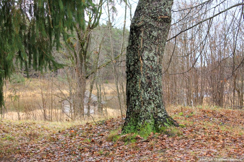 День Седьмого ноября в Усадьбе "Василёво", заключительная часть