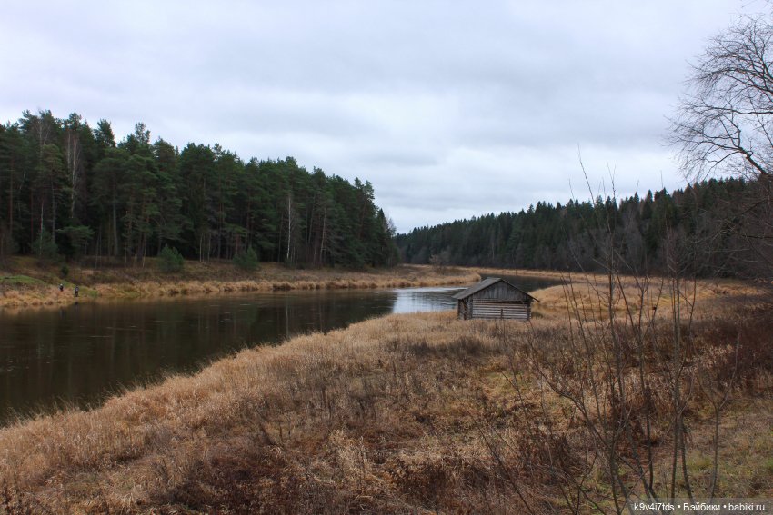 День Седьмого ноября в Усадьбе "Василёво"