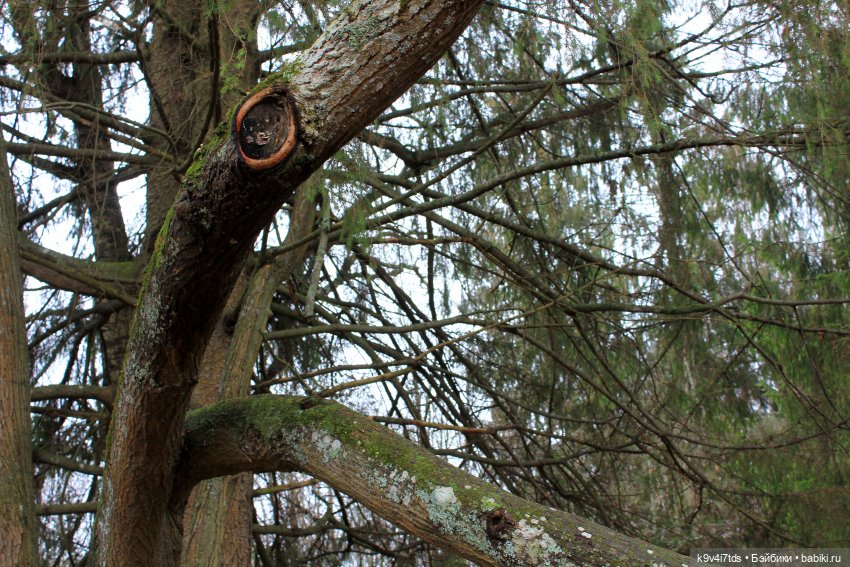 День Седьмого ноября в Усадьбе "Василёво", заключительная часть (фото 4)