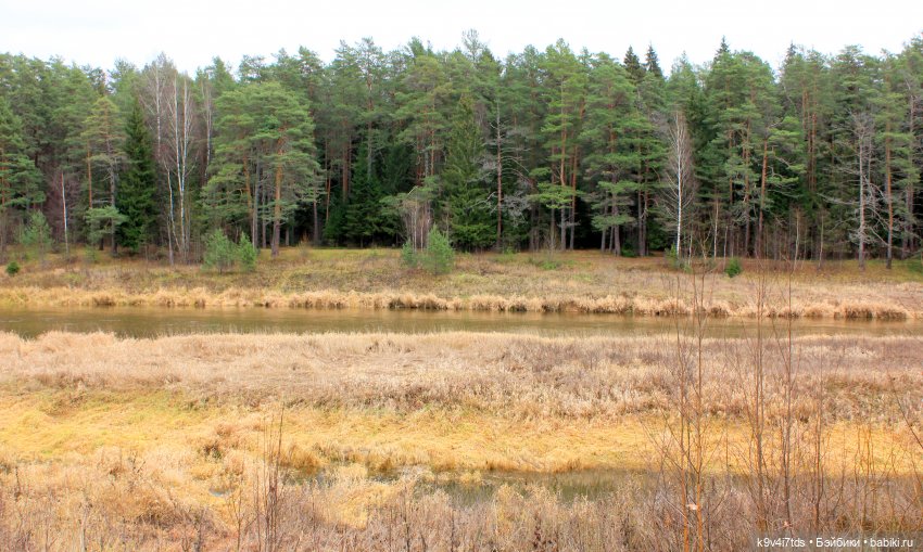 День Седьмого ноября в Усадьбе "Василёво", заключительная часть