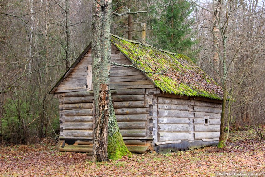 День Седьмого ноября в Усадьбе "Василёво", заключительная часть (фото 10)