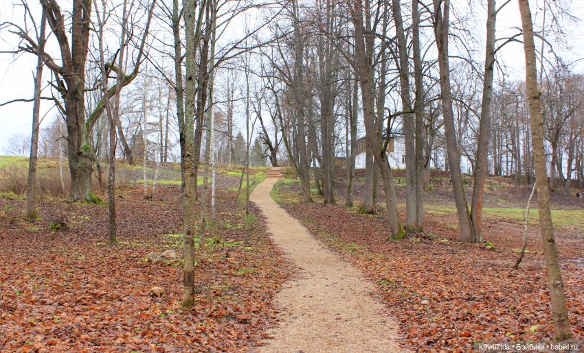 День Седьмого ноября в Усадьбе "Василёво"