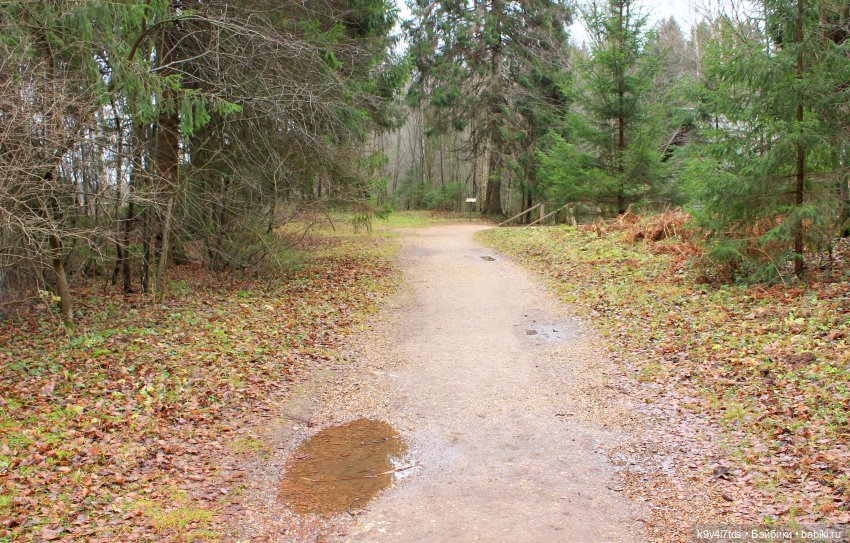 День Седьмого ноября в Усадьбе "Василёво", заключительная часть