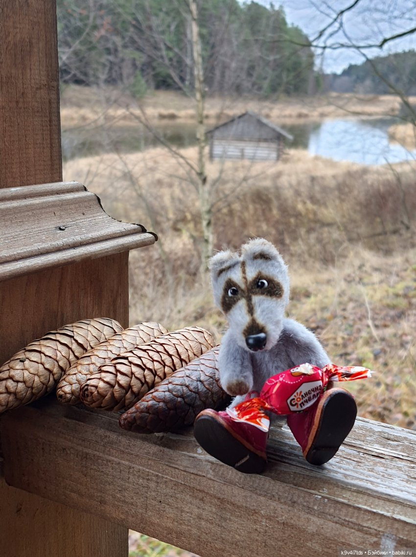 День Седьмого ноября в Усадьбе "Василёво"
