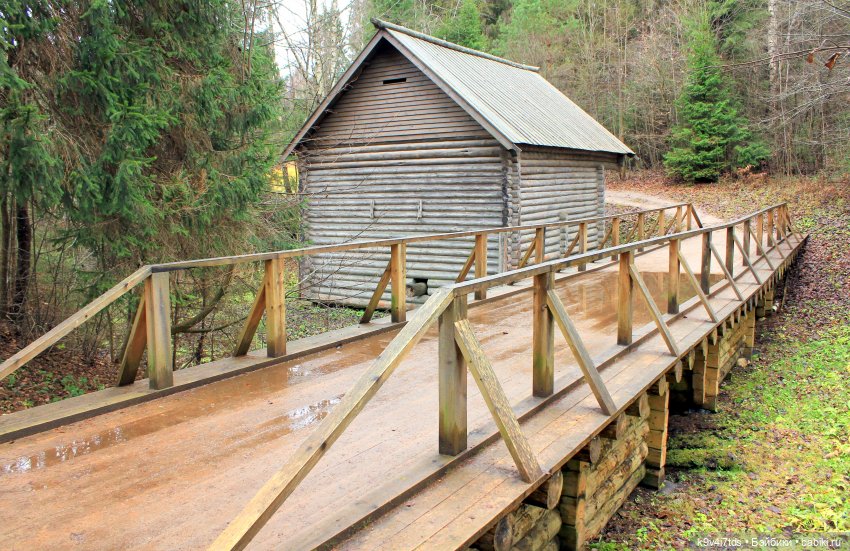 День Седьмого ноября в Усадьбе "Василёво", заключительная часть