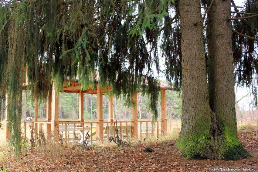 День Седьмого ноября в Усадьбе "Василёво"