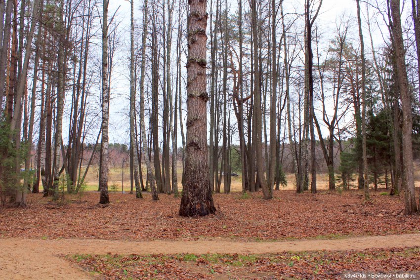 День Седьмого ноября в Усадьбе "Василёво"