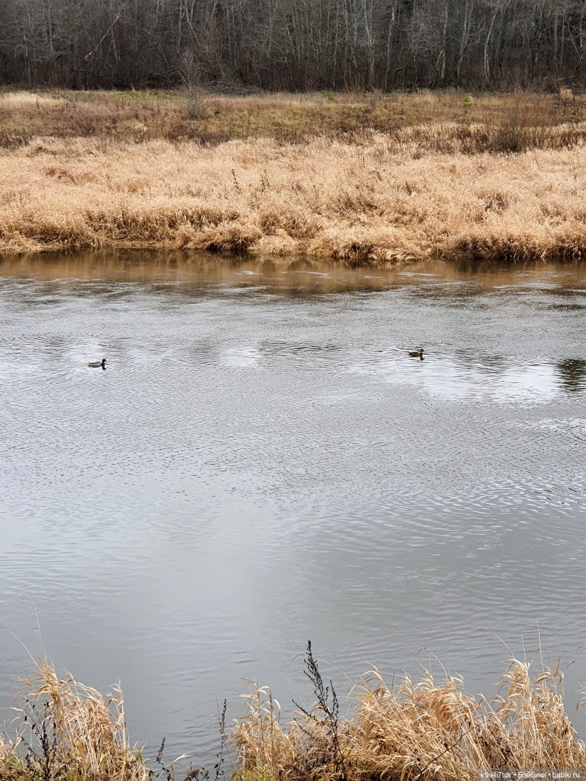 День Седьмого ноября в Усадьбе "Василёво"