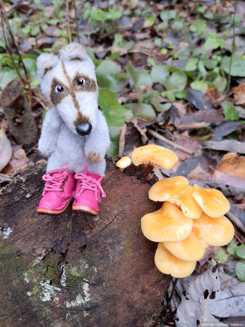 День Седьмого ноября в Усадьбе "Василёво", заключительная часть